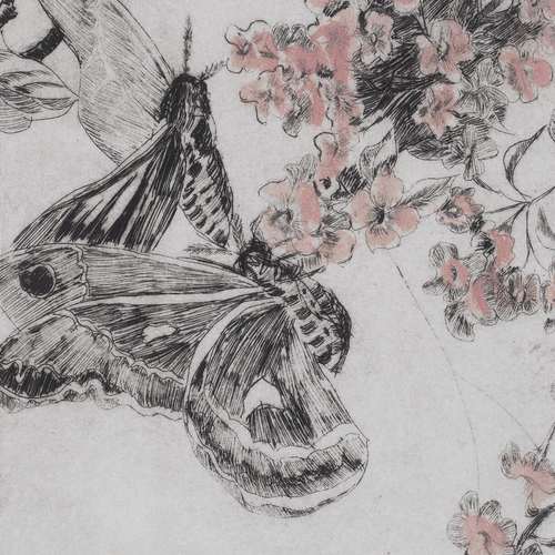 Rhett, Antoinette (1882-1964)