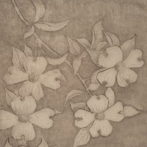 Jacques, Bertha (1863-1941)