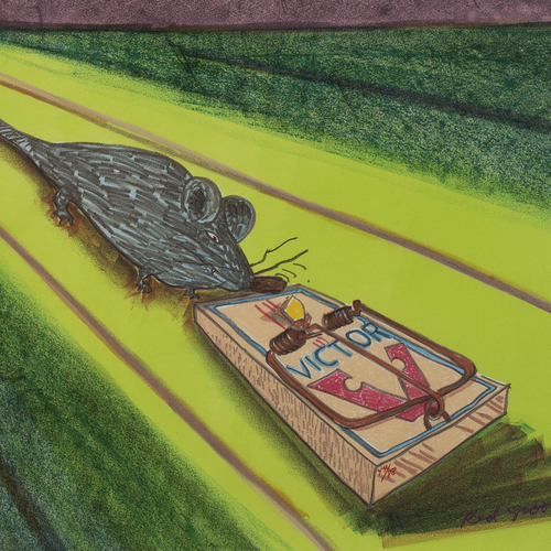 Grooms, Red (1937- )